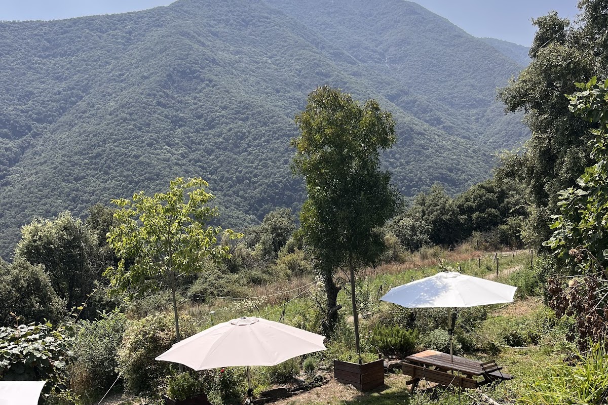 La Cort Montseny