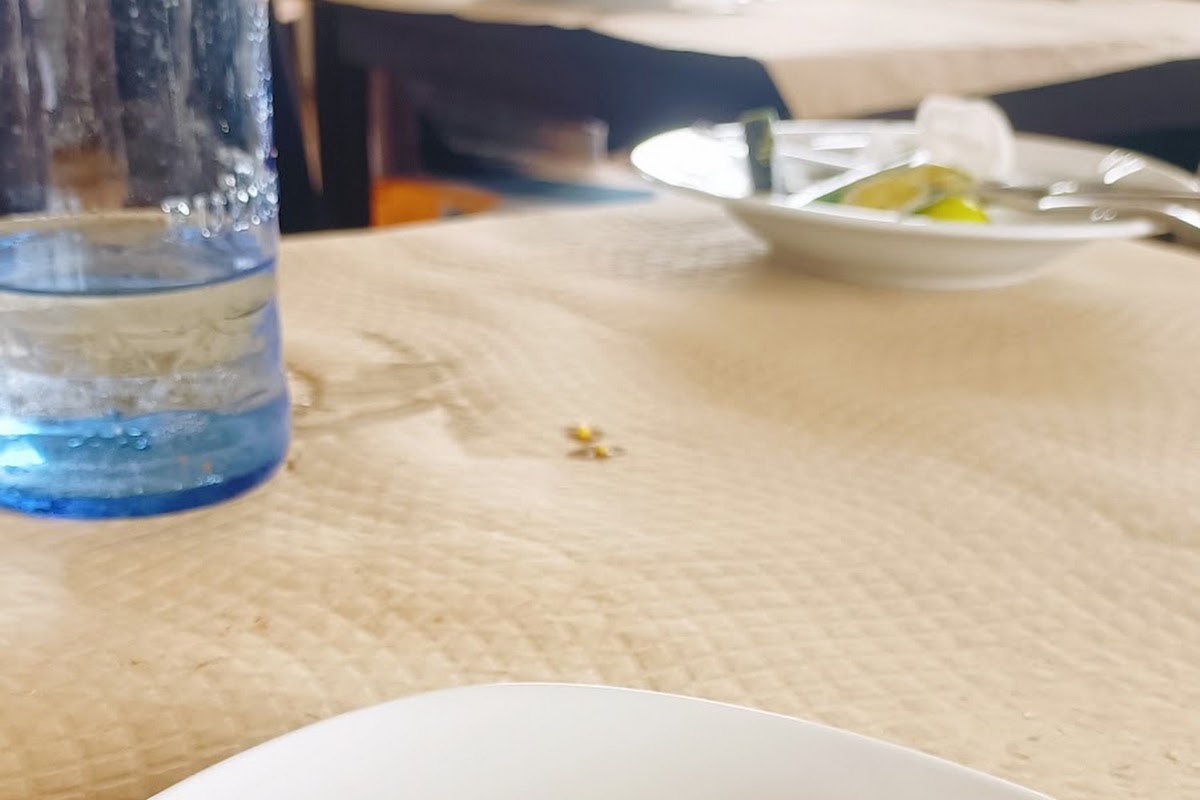 Restaurante Casa Máximo