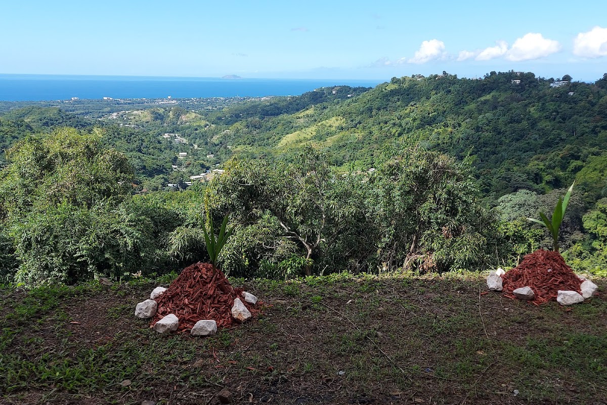 El Cerro de Juaco