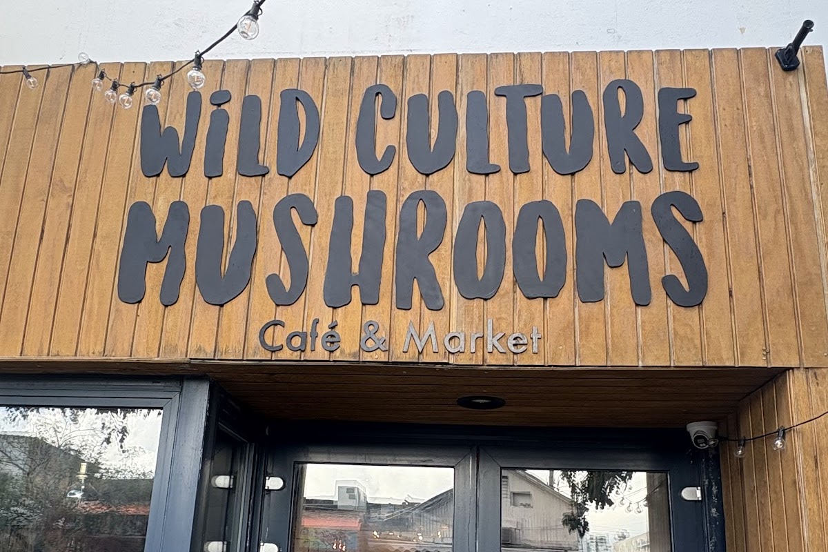 Wild Culture Mushrooms
