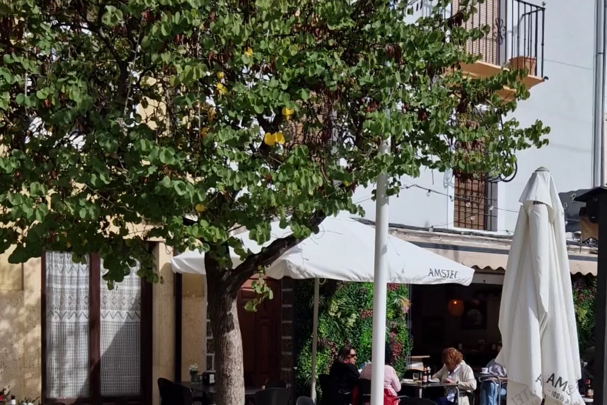 Restaurante El Arco
