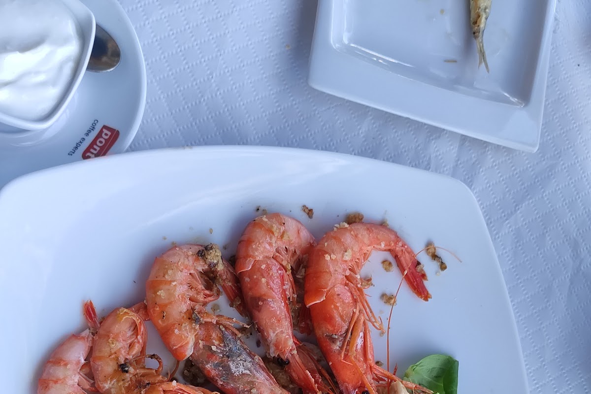 Resto-barAndalucia