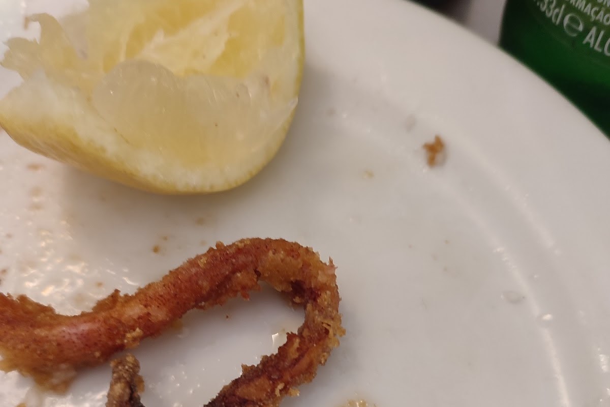 Najocamon