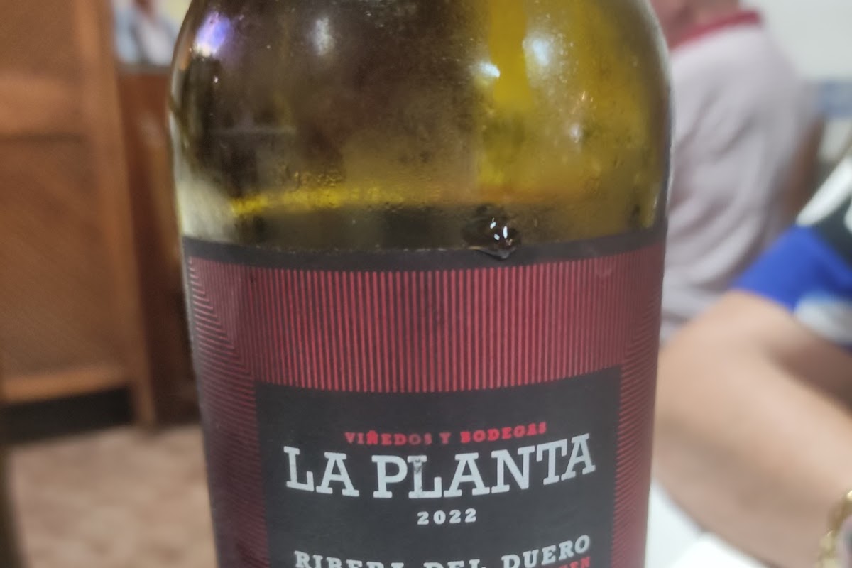 Gran Taberna Epi