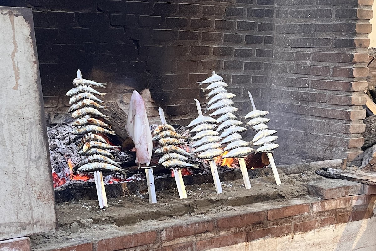 Los Cañizos