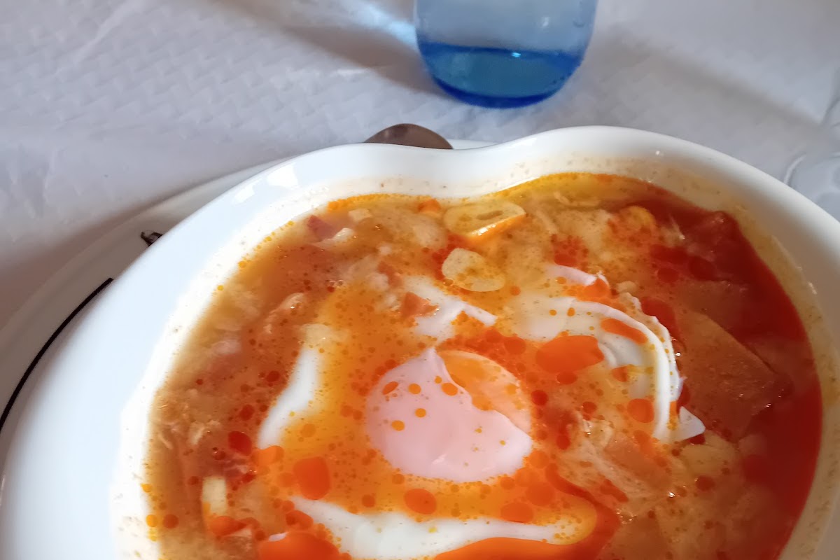 Kentia, Sigüenza