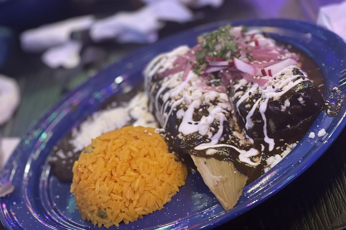 Tamale Co. Modern Mexican Kitchen & Bar