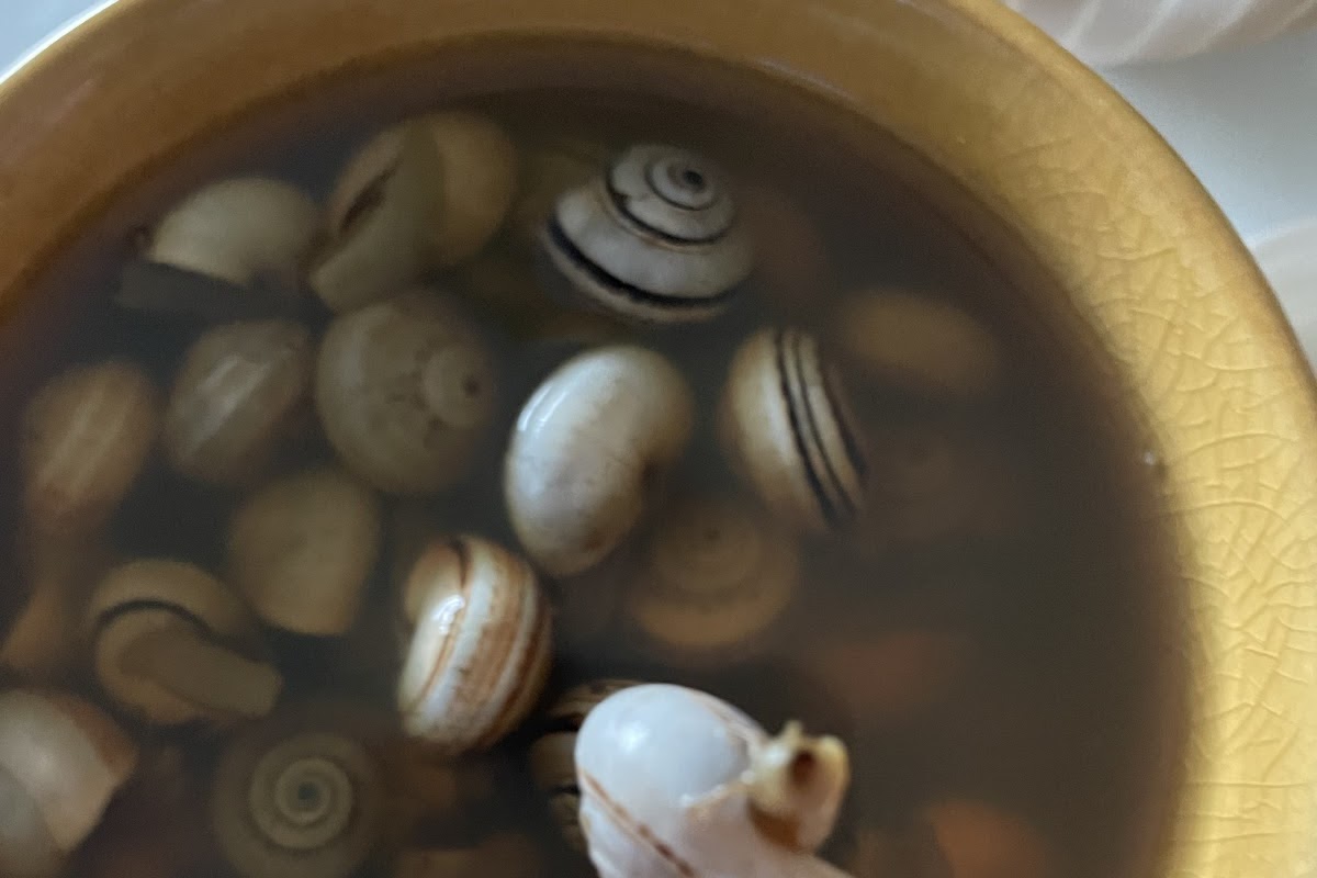Tortillería Poti Poti