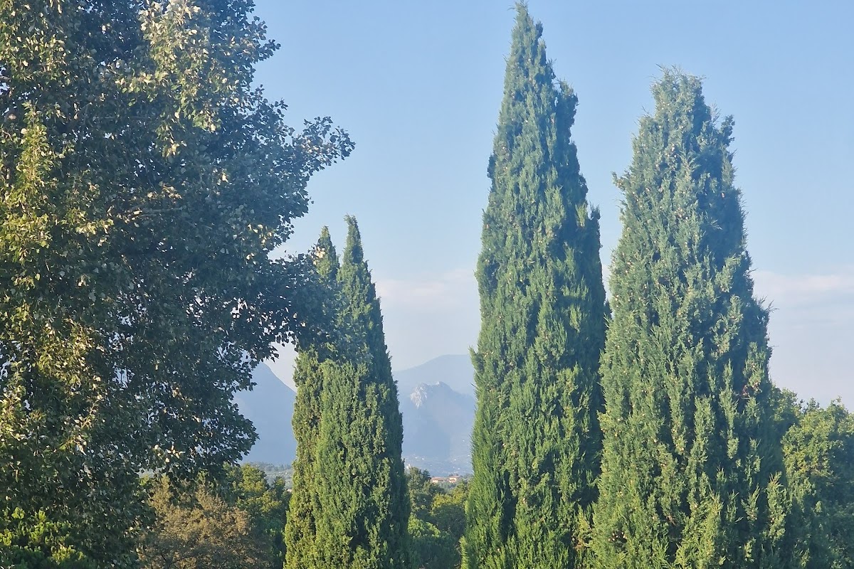 Bucadiciannove, Soiano del Lago