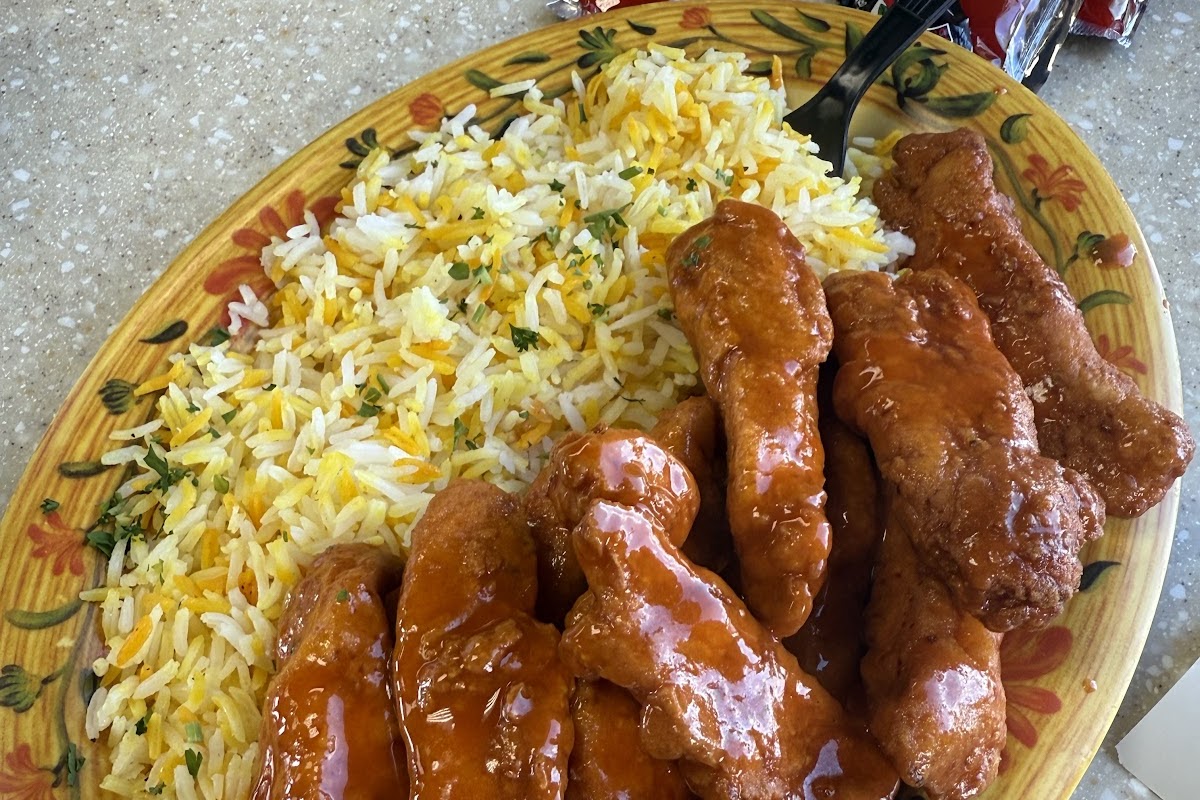 Zeko's Mediterranean Grill, Tampa, FL