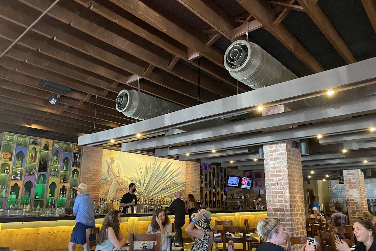 Flying Iguana Taqueria & Tequila Bar, Neptune Beach, FL