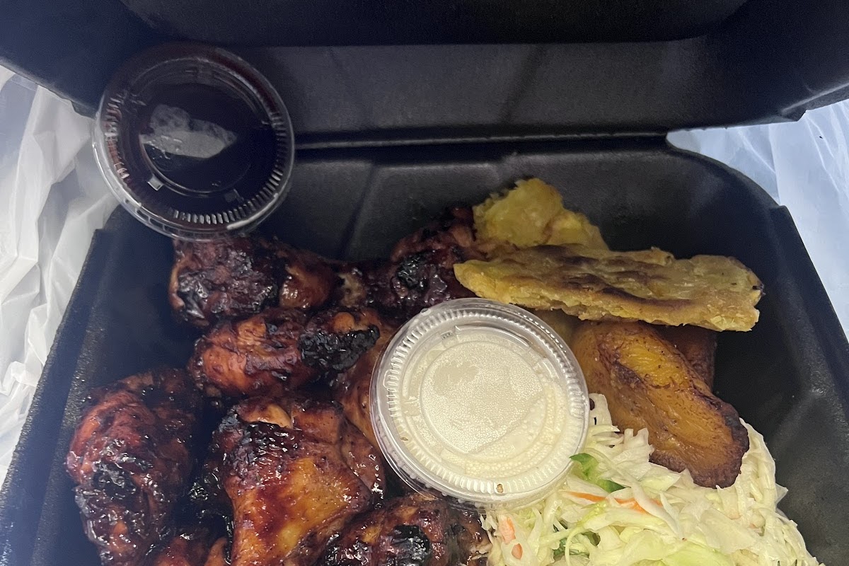 Hibiscus Jamaican Fusion, Lake Worth Beach, FL