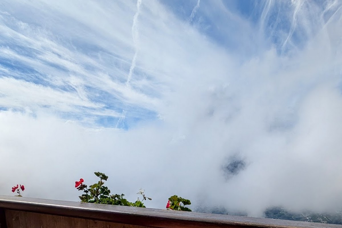 Gasthof Pension Café Greitererhof