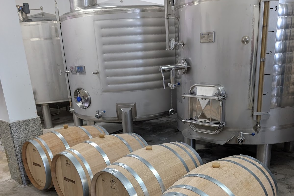 Bodegas Bentomiz