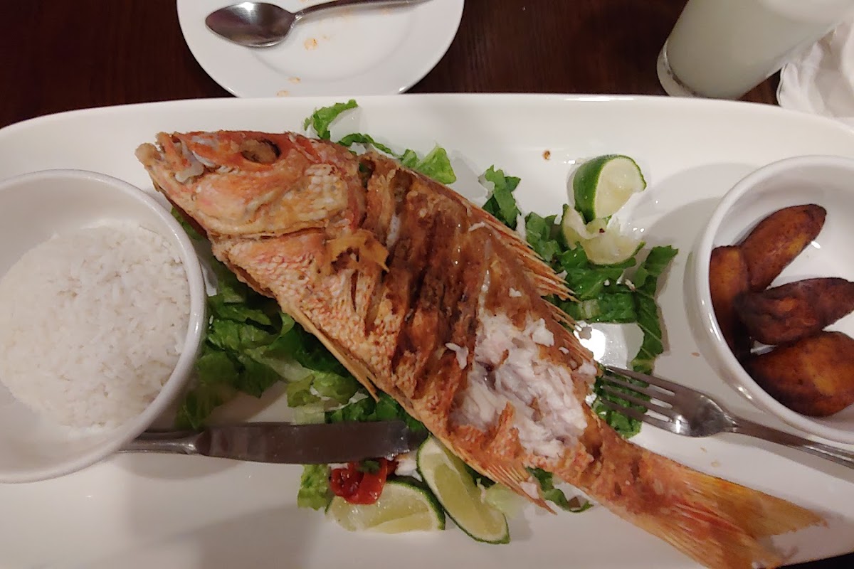 Saxsay, Tamarac, FL