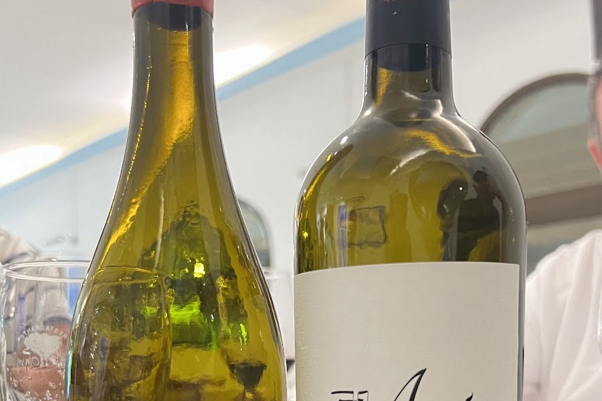 el Olivo