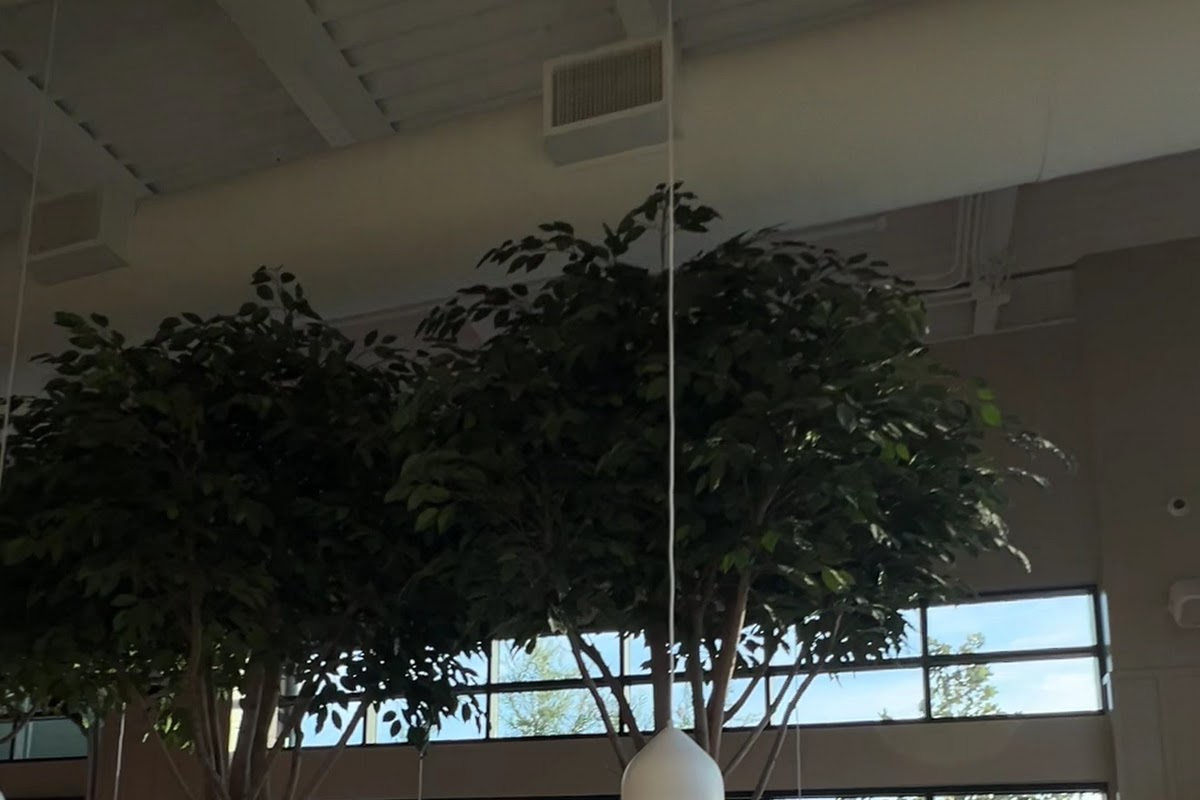 The Finch - Grand Prairie