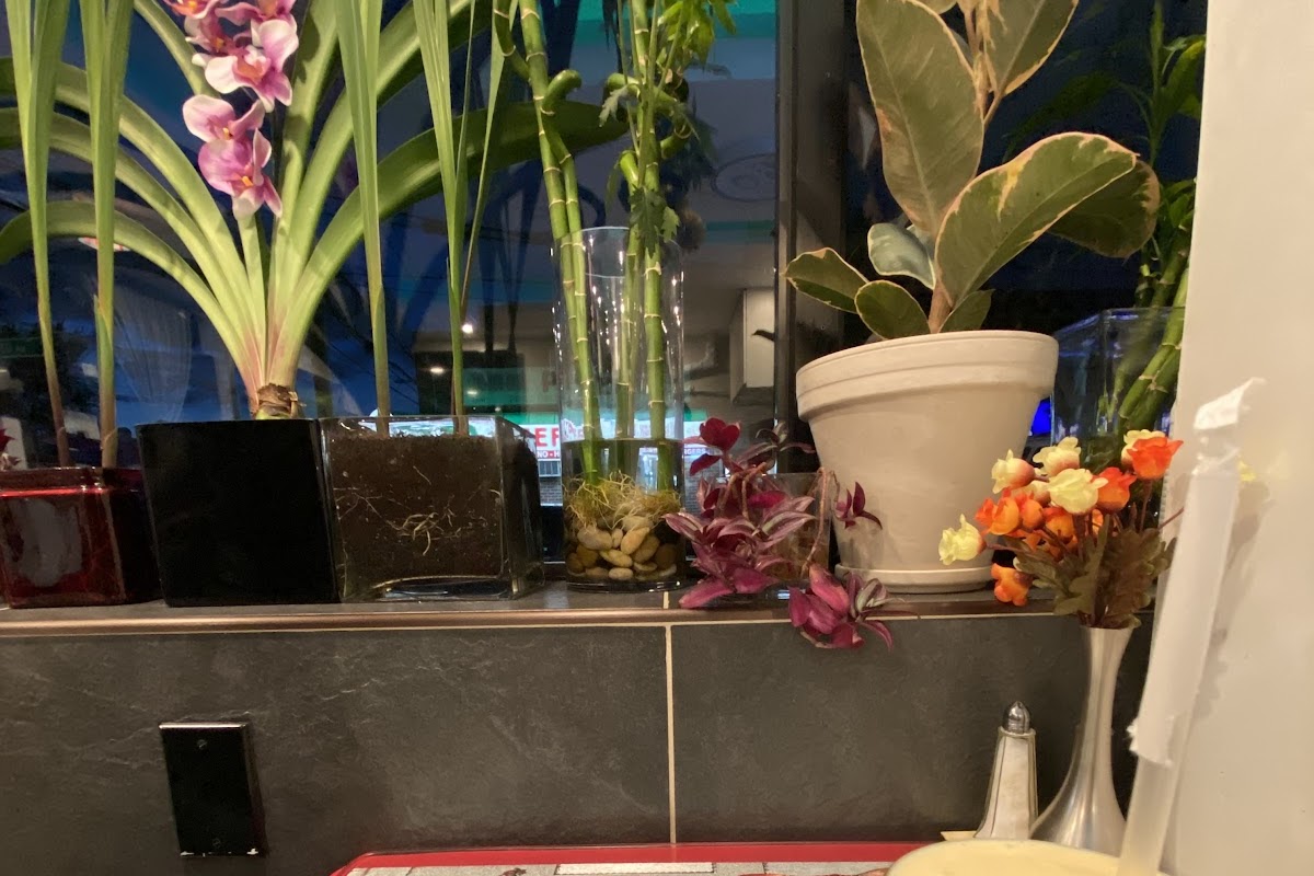 69 Coffee Shop, Woodside, NY