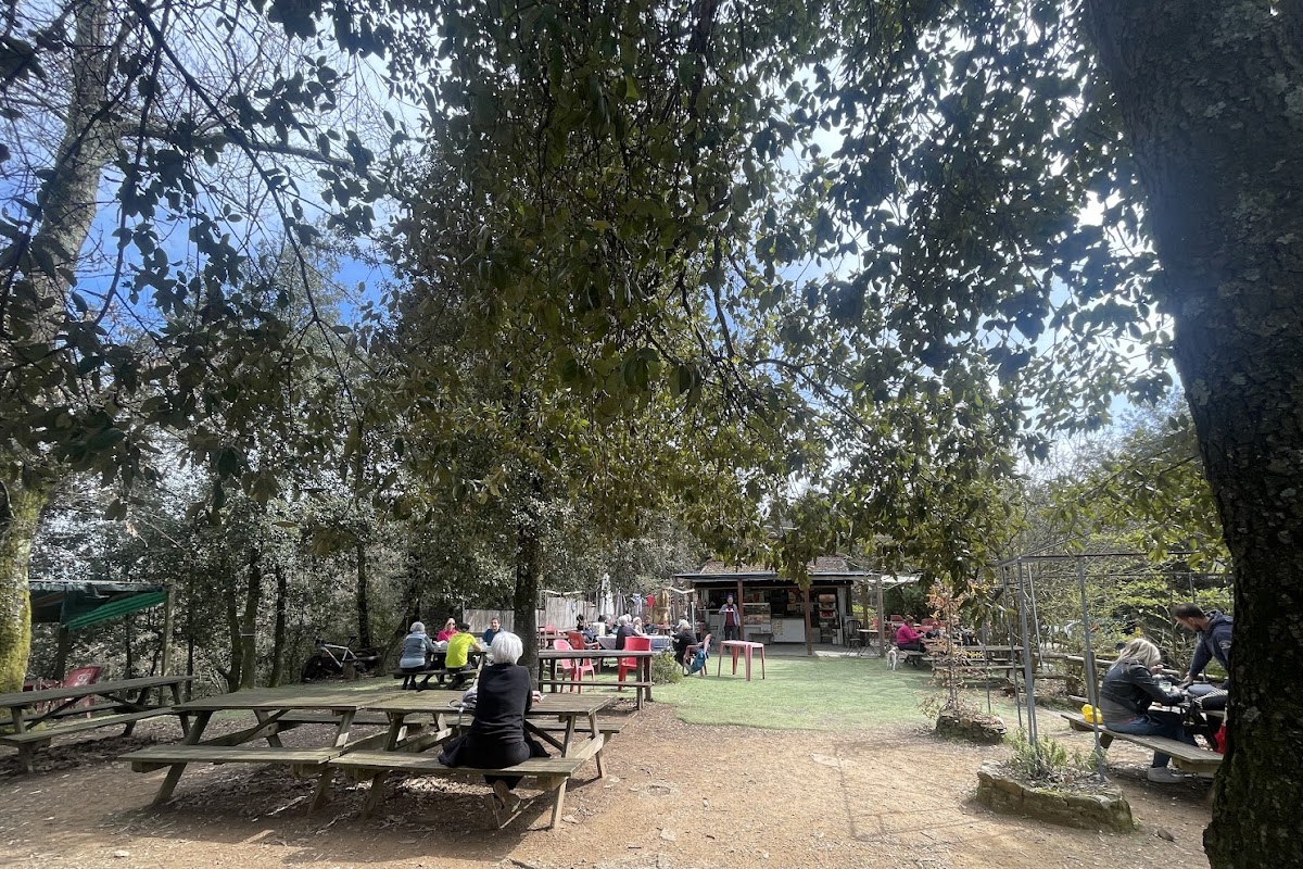 Il Barlume di Paride