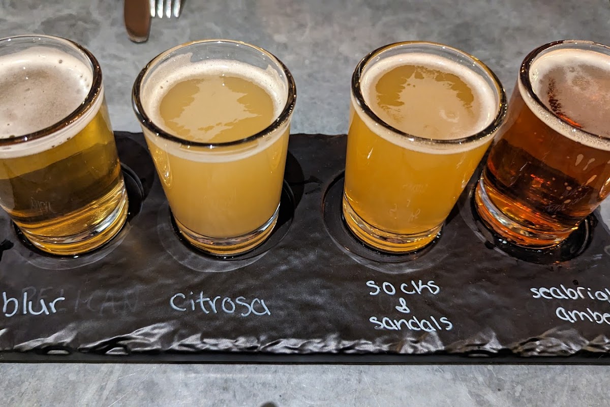Seabright Social, Santa Cruz, CA