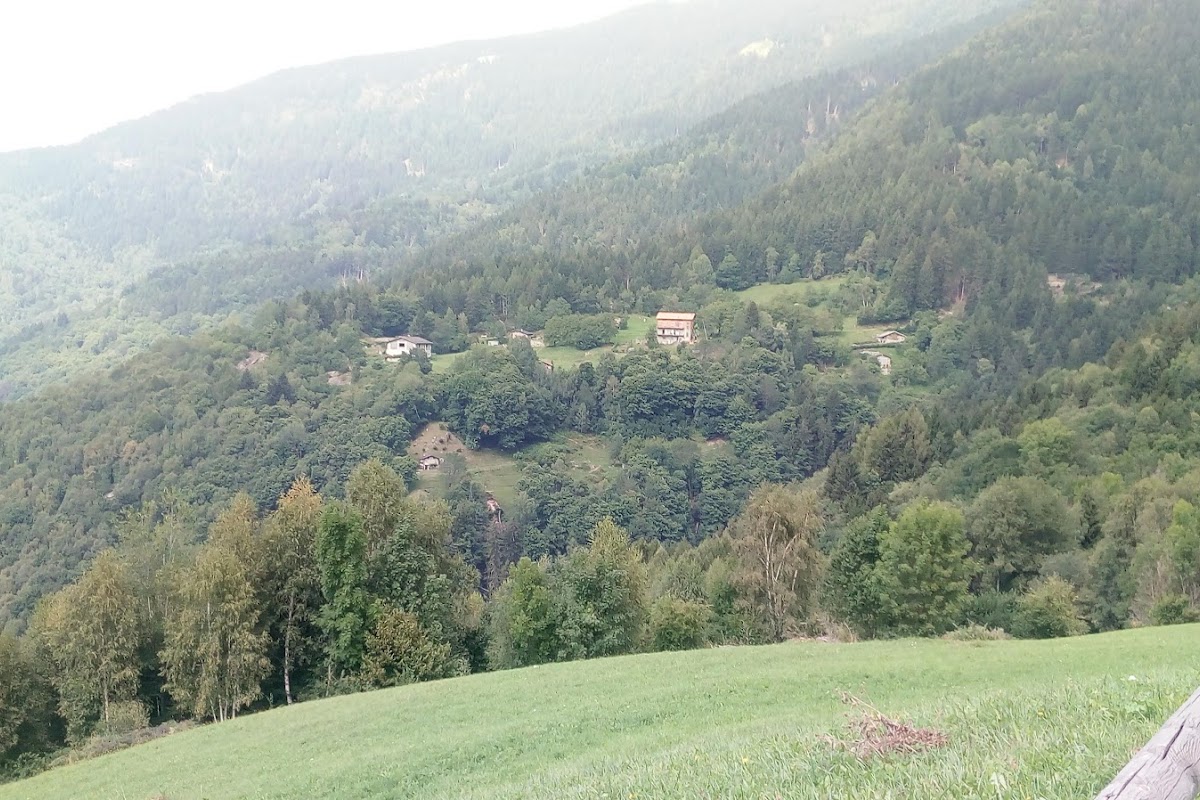Chalet Pineta