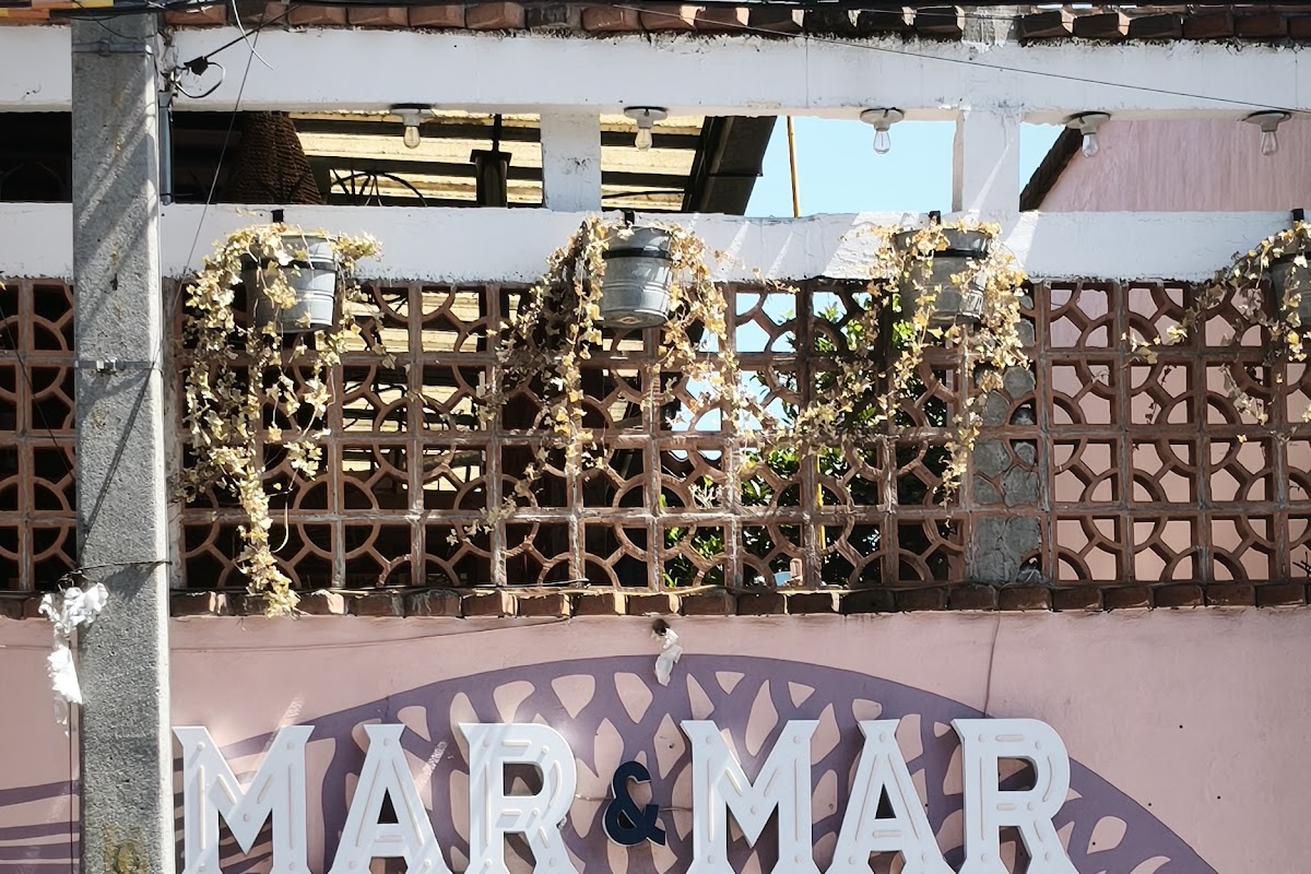 Lobo de mar
