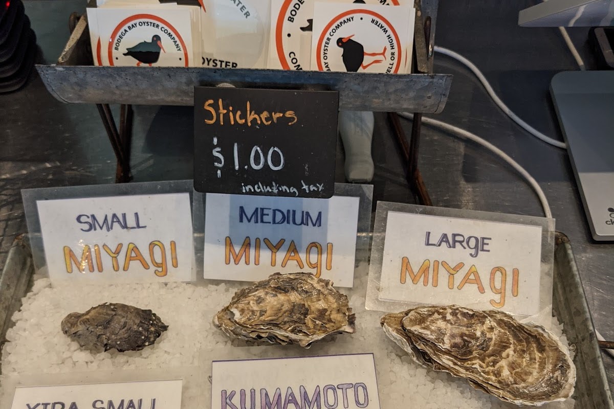 Bodega Bay Oyster Company