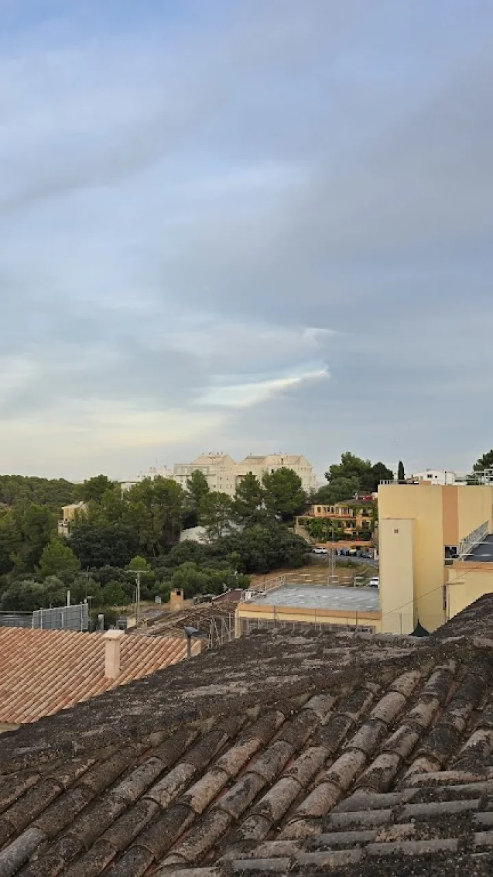 Los restaurantes mejor valorados de Manacor (4.6★)