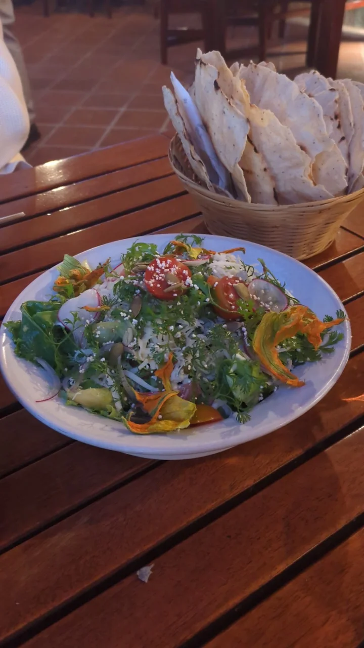Dónde comer mexicano en Oaxaca: 53 opciones reales