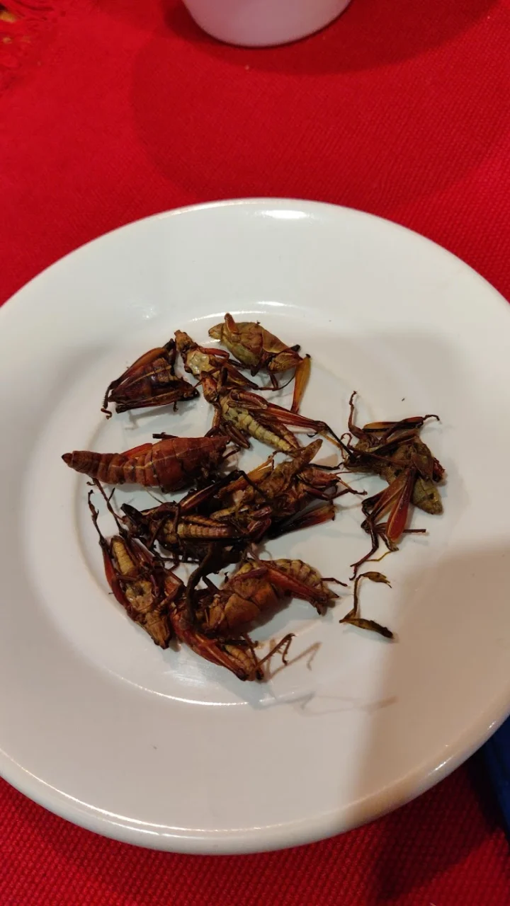 Platos típicos de San Cristobal De Las Casas: dónde probar lo auténtico