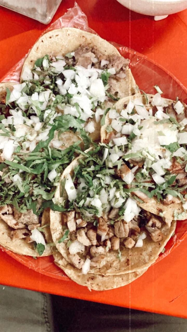 Dónde comer tarde en Playa del Carmen: abiertos después de las 23h