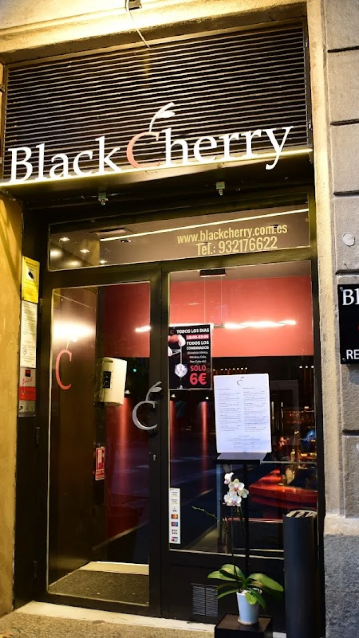 Vive Black Cherry Persa