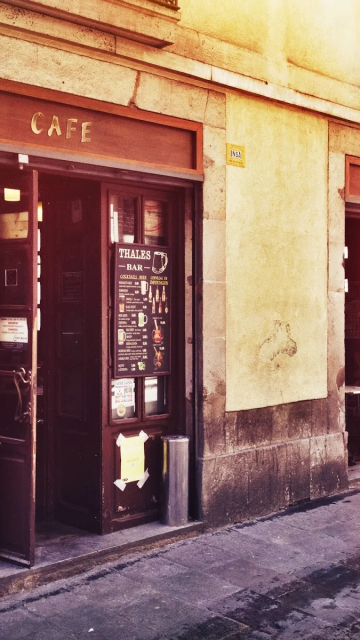 Vive Bar Thales