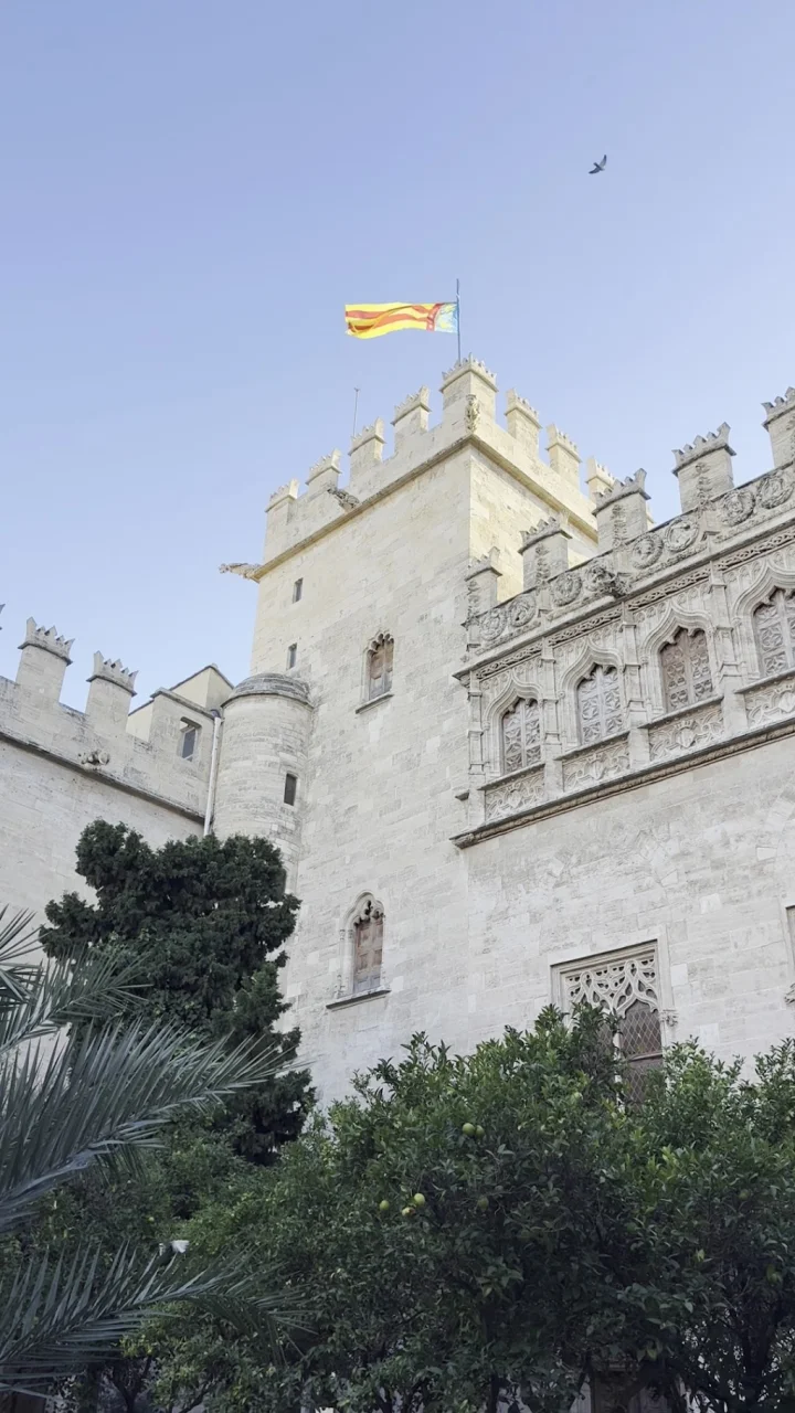 Los restaurantes mejor valorados de Valencia (4.7★)