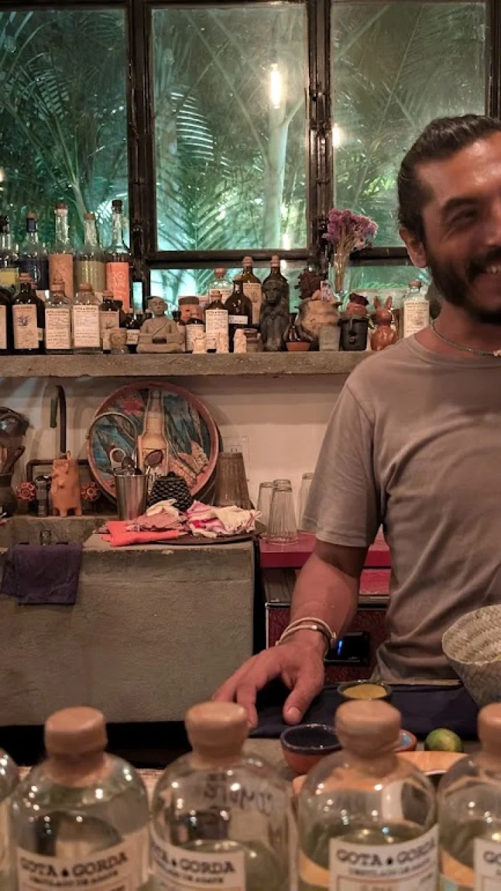 Joyas ocultas en Boca del Río: restaurantes increíbles que pocos conocen