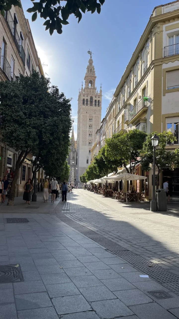 Comer bien y barato en Seville: guía con precios reales