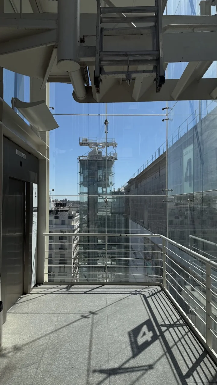 Platos típicos de Madrid: dónde probar lo auténtico