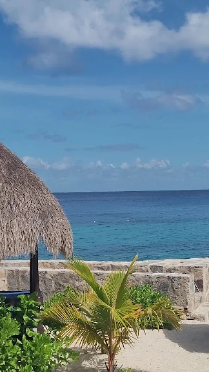 Brunch en Cozumel: los mejores según 11,199 opiniones