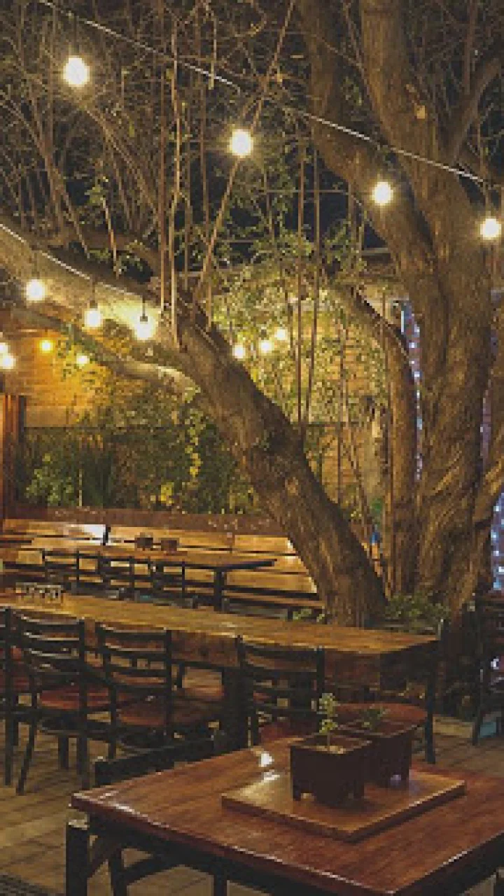Dónde comer tarde en Tecate: abiertos después de las 23h