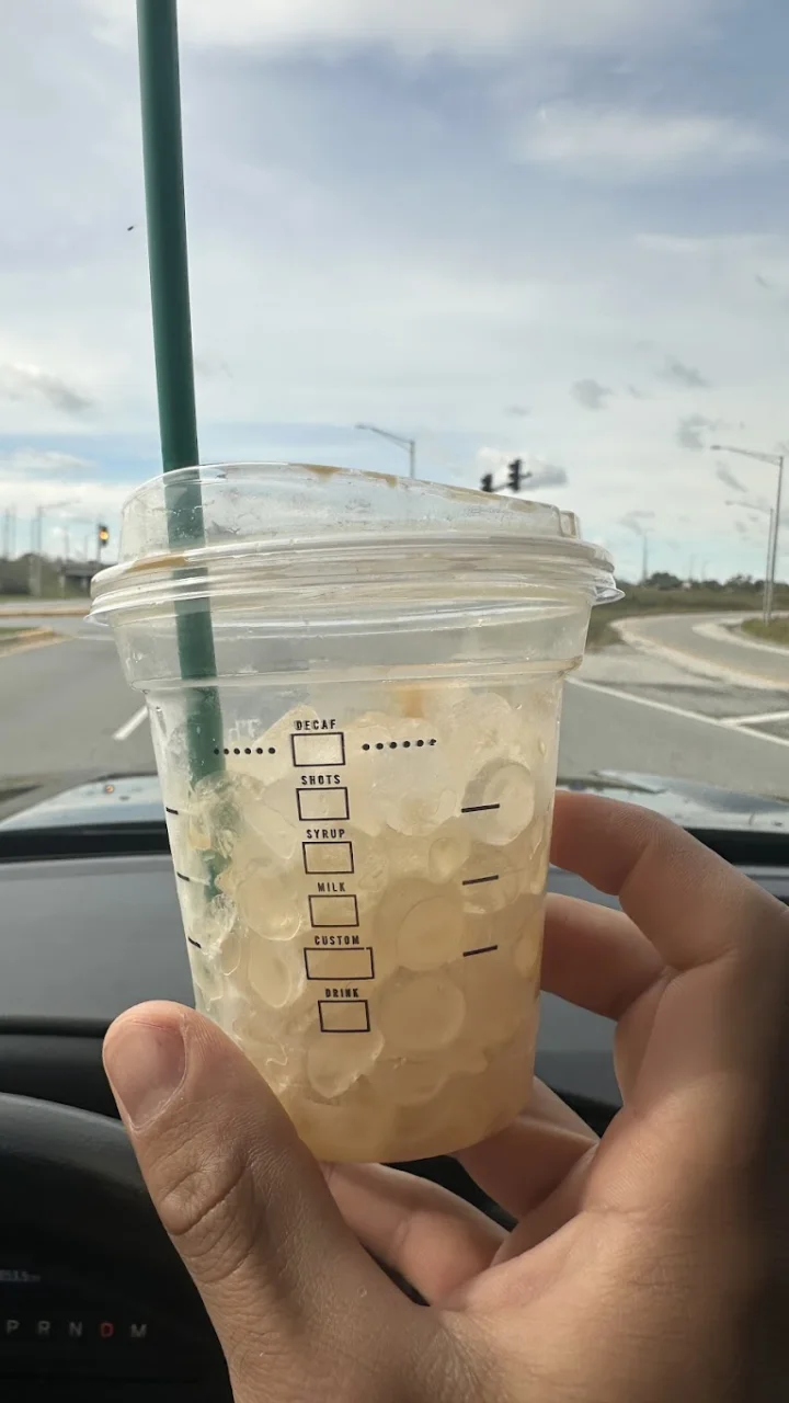 Starbucks Signature Dishes