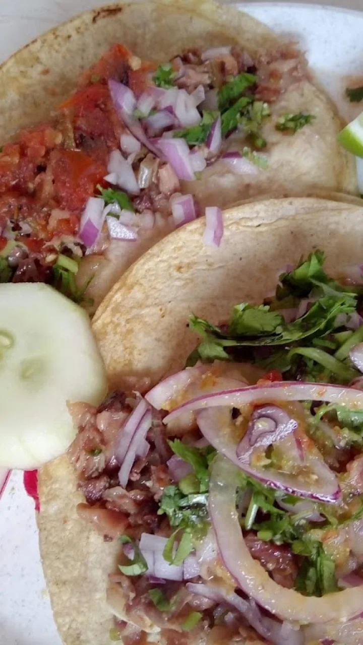 Joyas ocultas en Tepic: restaurantes increíbles que pocos conocen