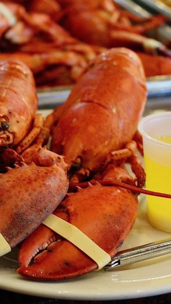Ostioneria Viña del Mar Signature Dishes