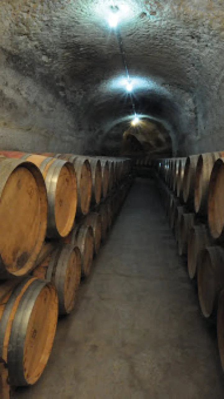 Experience Bodegas Dehesa La Granja