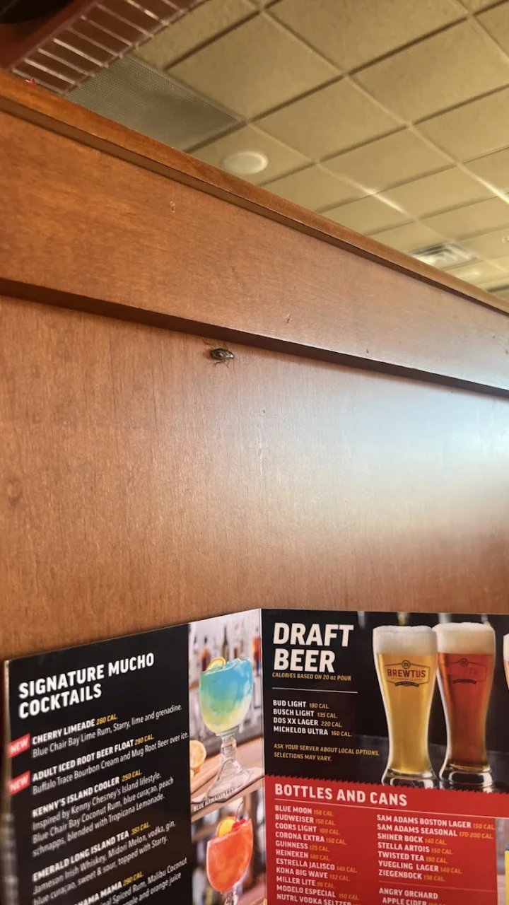 Applebee's Signature Dishes