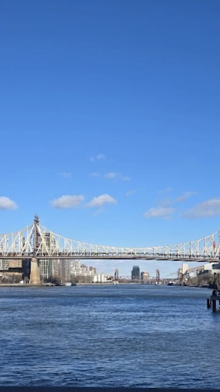 Los restaurantes mejor valorados de Long Island City (4.6★)
