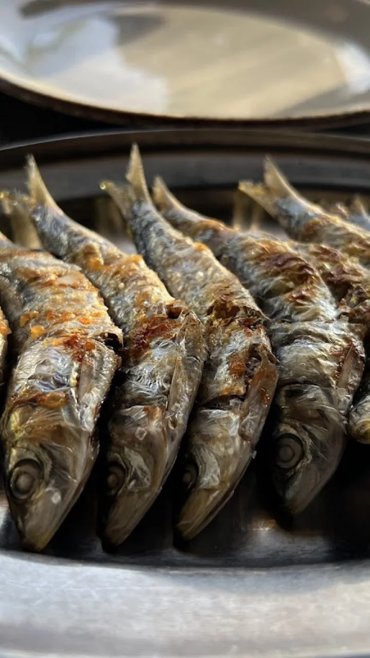 Where to Eat Late at Night in Estepona: Open Past 11 PM